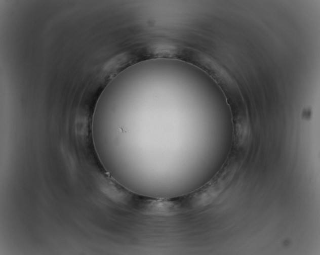 X0000101150379200807071156