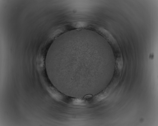 X0000101150380200807071156