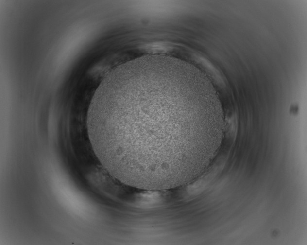 X0000101150381200807071156