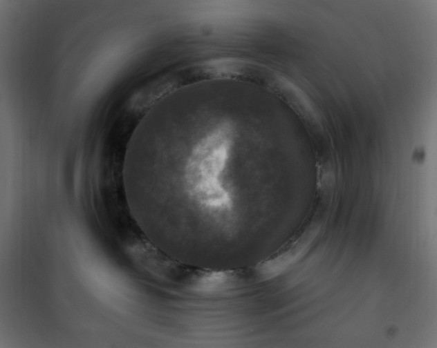 X0000101150382200807071156