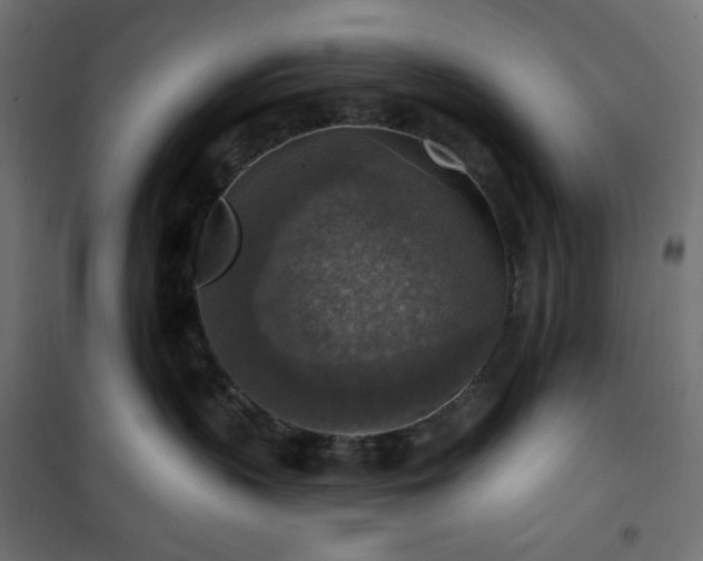 X0000101150383200807071156