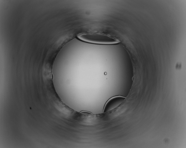 X0000101150384200807071156