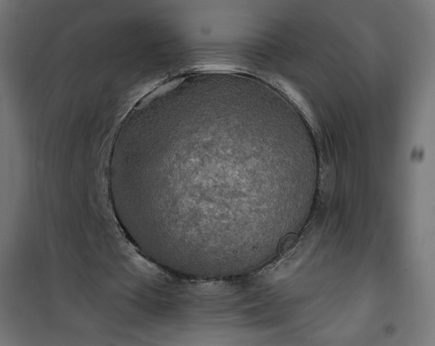 X0000101150385200807071155