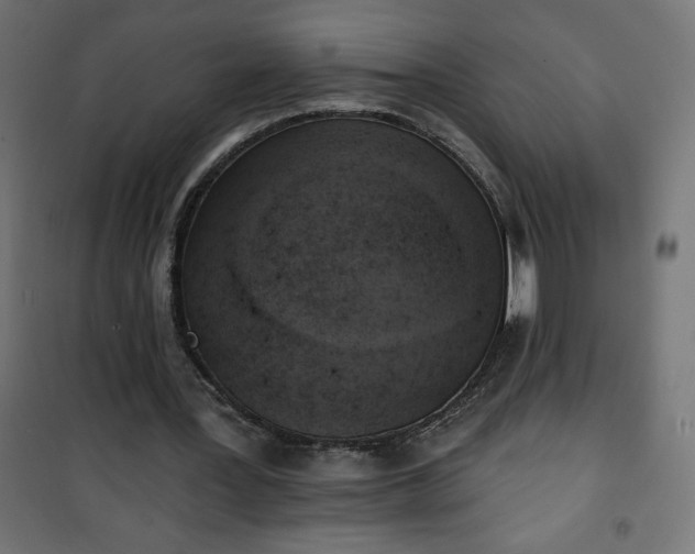 X0000101150387200807071155