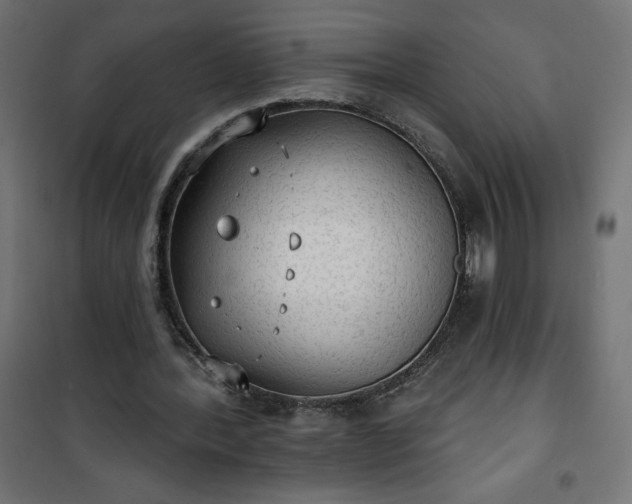 X0000101150388200807071155