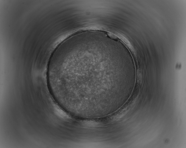 X0000101150389200807071155