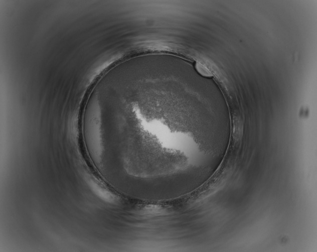 X0000101150390200807071155