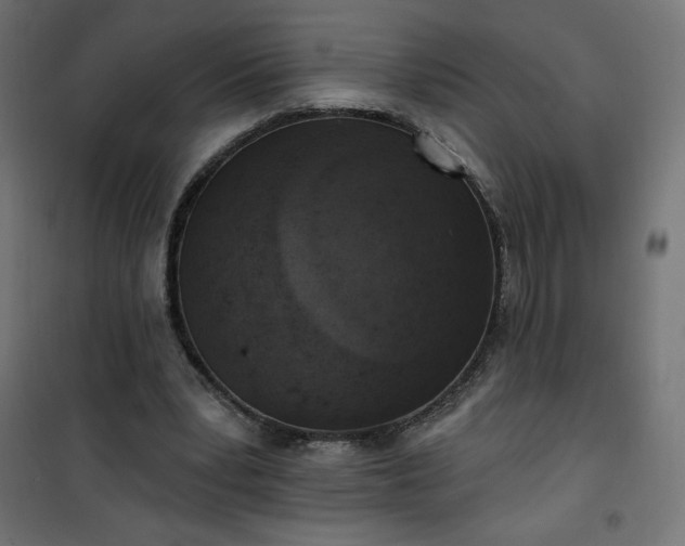 X0000101150391200807071155