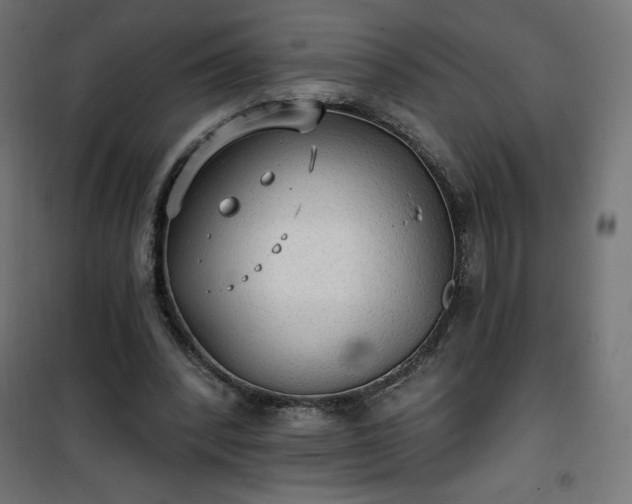 X0000101150392200807071155