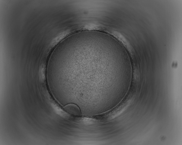 X0000101150393200807071155