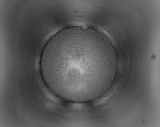 X0000101150394200807071155