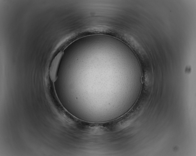 X0000101150396200807071155