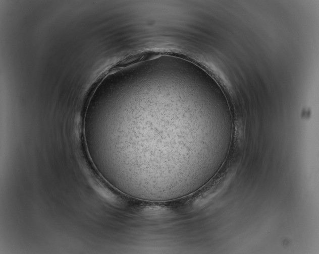 X0000101150397200807071155