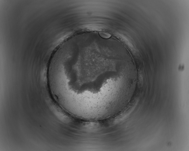 X0000101150398200807071154