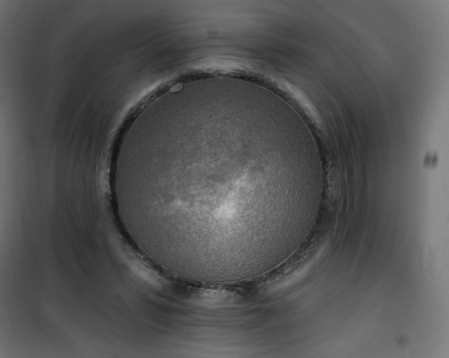 X0000101150399200807071154