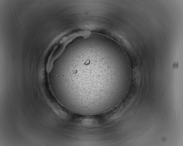 X0000101150400200807071154