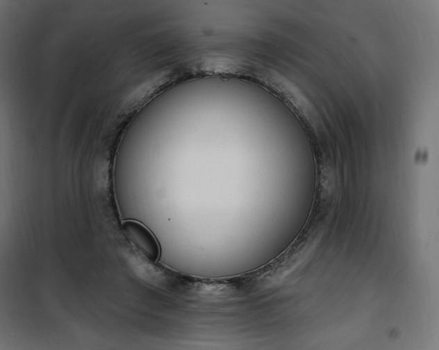 X0000101150401200807071154