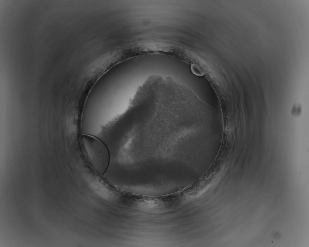 X0000101150402200807071154