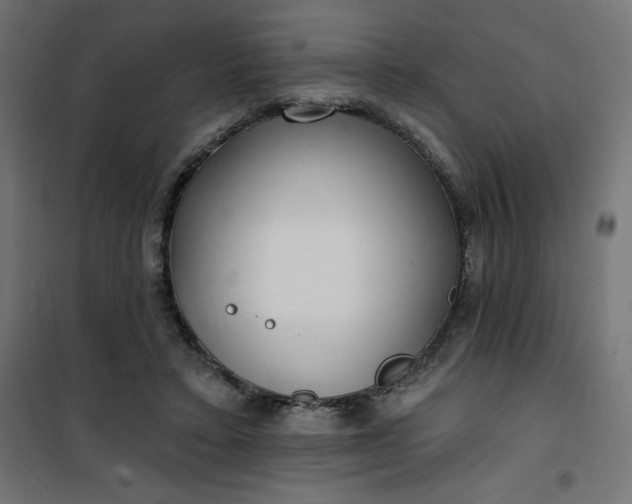 X0000101150403200807071154