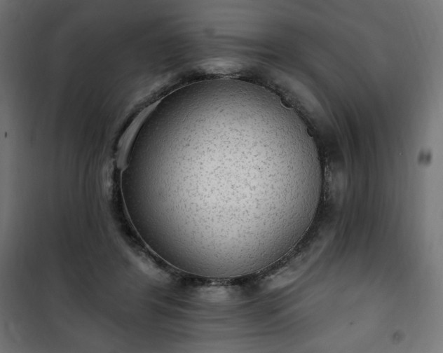 X0000101150404200807071154