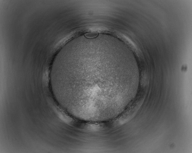 X0000101150405200807071154