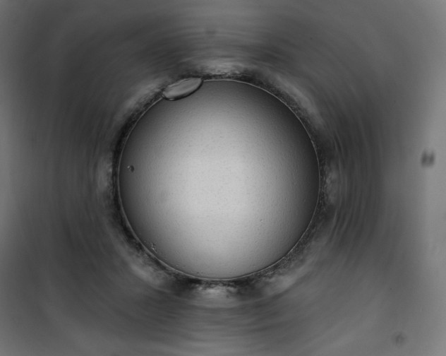 X0000101150407200807071154