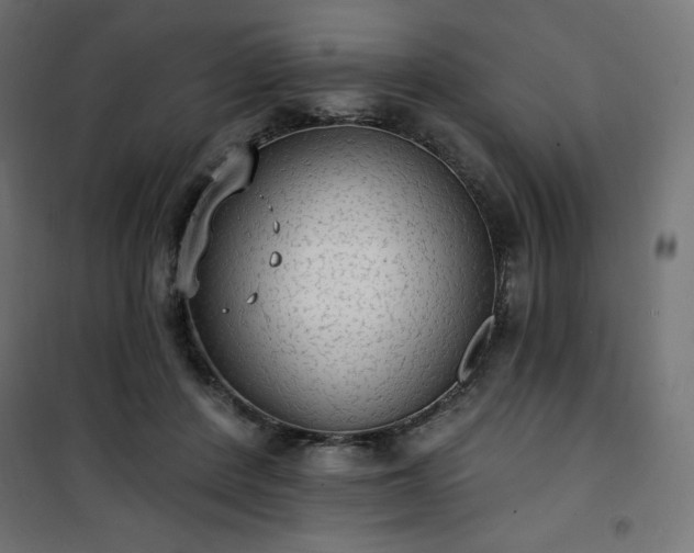 X0000101150408200807071154