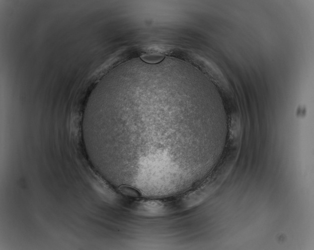 X0000101150409200807071154