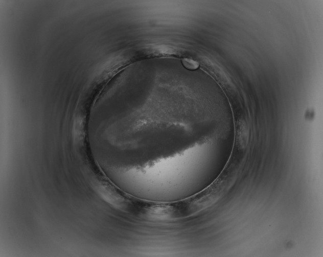 X0000101150410200807071154