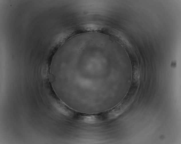 X0000101150411200807071154