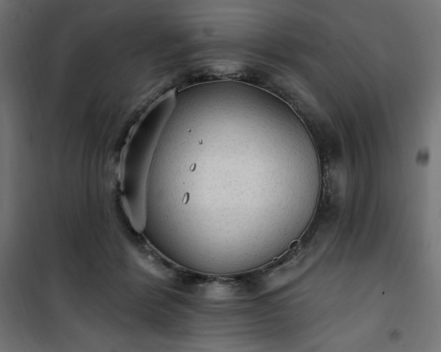 X0000101150412200807071154