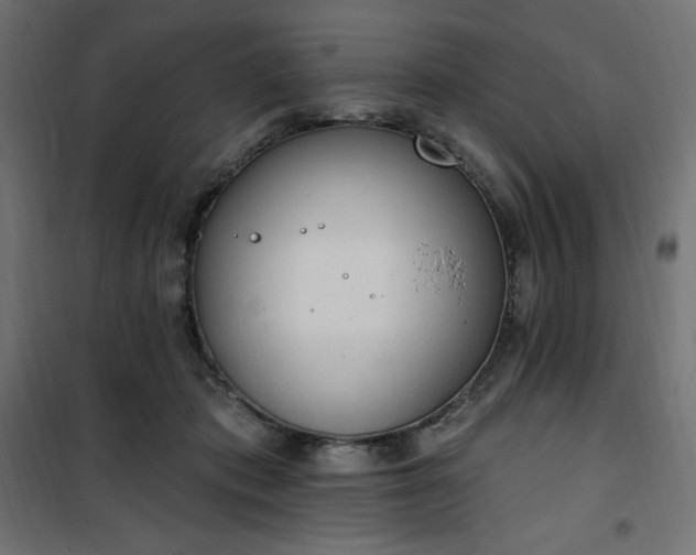 X0000101150413200807071154