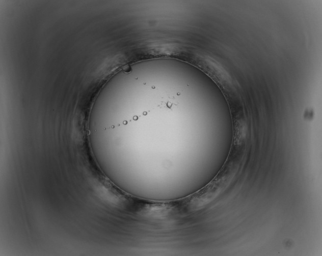 X0000101150414200807071154