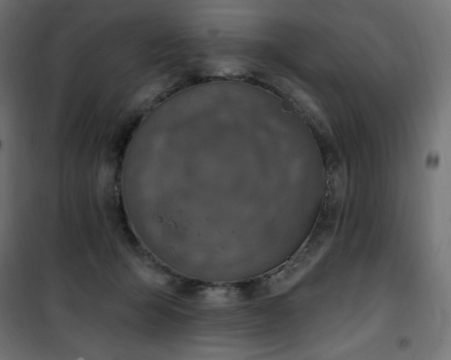 X0000101150415200807071154