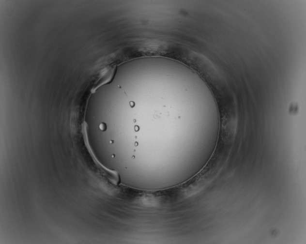 X0000101150416200807071154