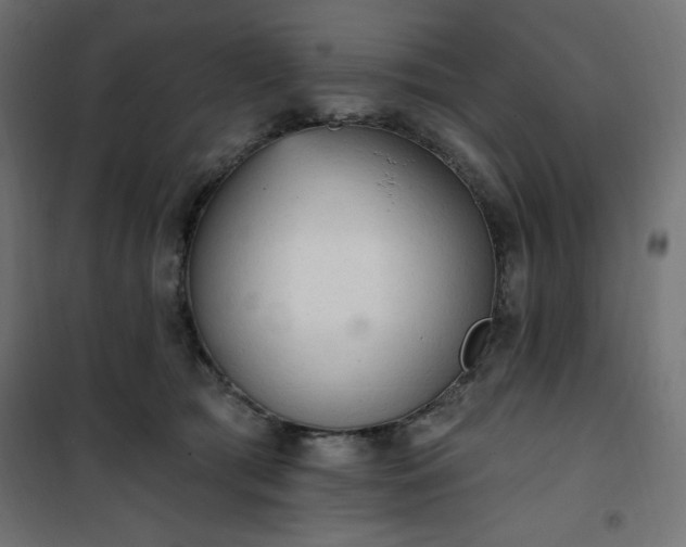 X0000101150417200807071154