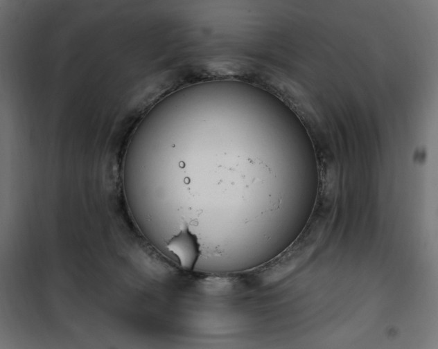 X0000101150418200807071154