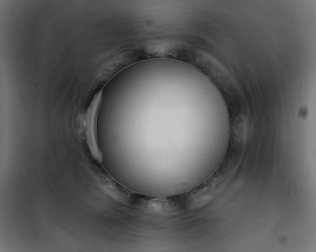 X0000101150420200807071154