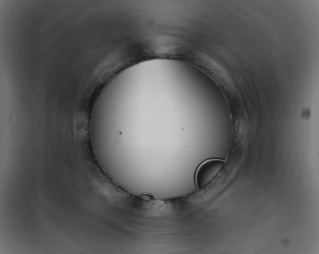 X0000101150421200807071154