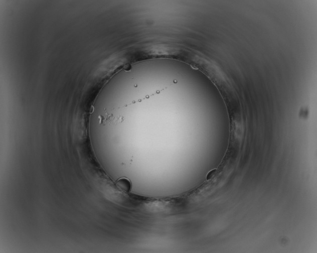 X0000101150422200807071154