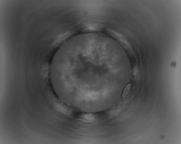 X0000101150423200807071154