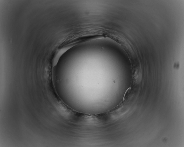 X0000101150424200807071154