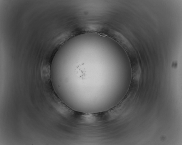 X0000101150425200807071154