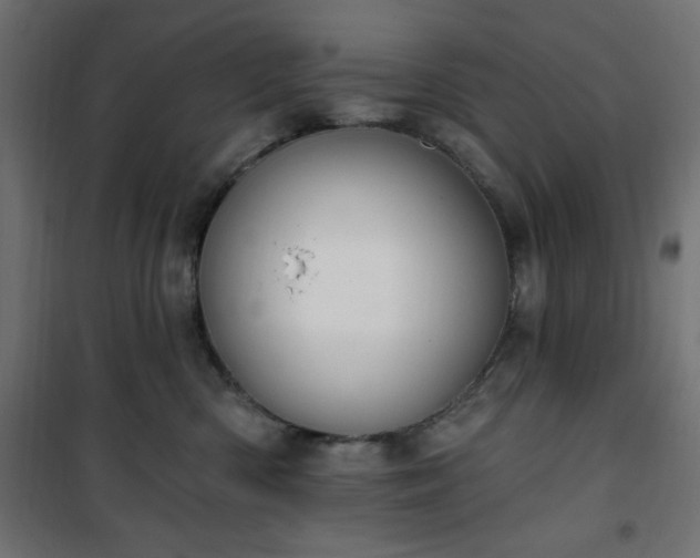 X0000101150426200807071154