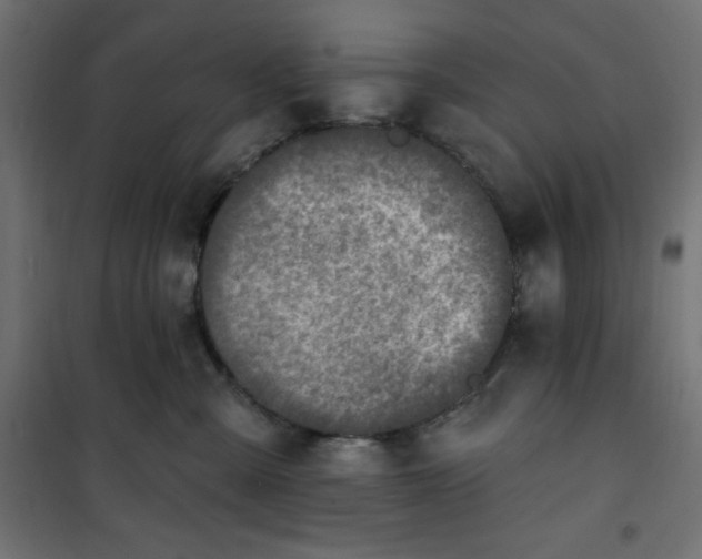 X0000101150427200807071154