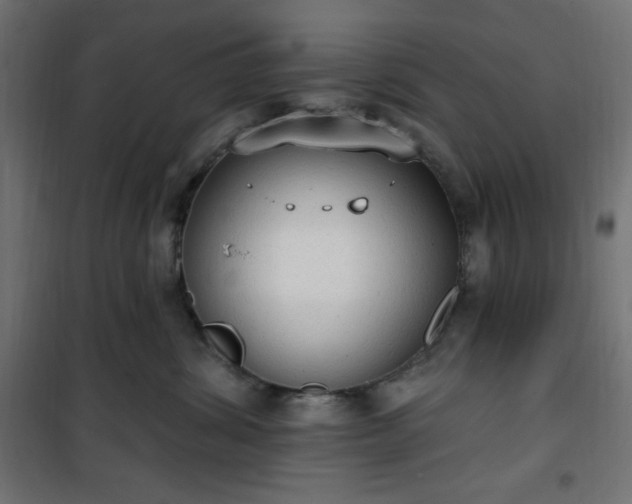 X0000101150428200807071154