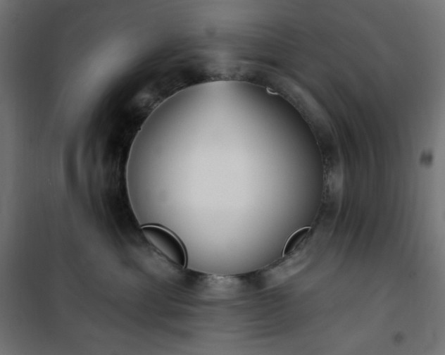 X0000101150429200807071154