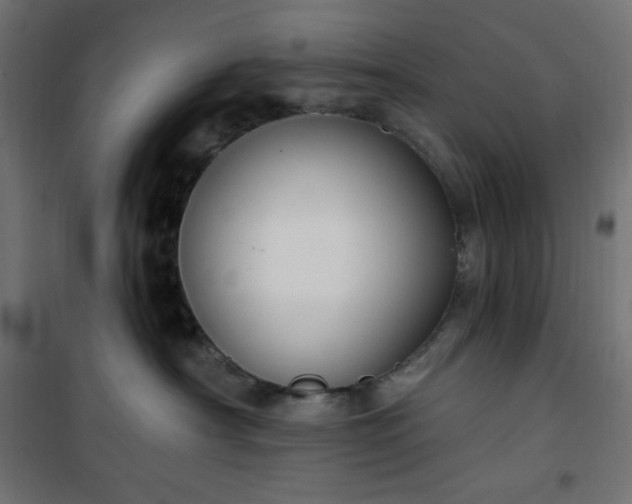 X0000101150430200807071154