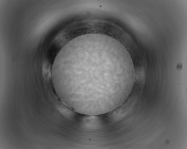 X0000101150431200807071154