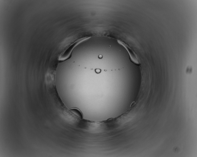 X0000101150432200807071154